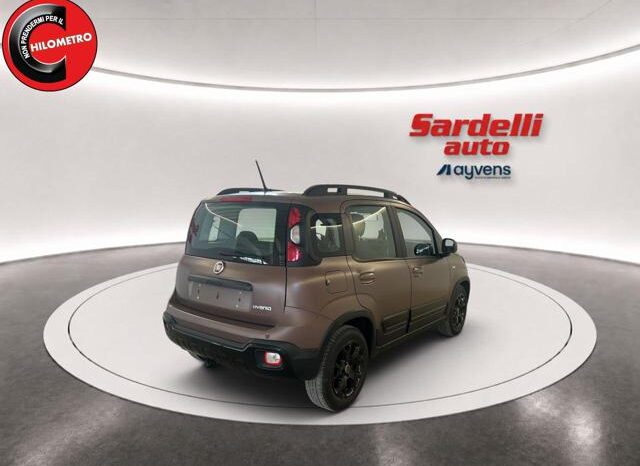 
								FIAT Panda 1.0 FireFly S&S Hybrid Trussardi full									