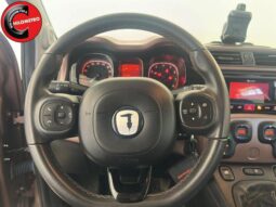 
										FIAT Panda 1.0 FireFly S&S Hybrid Trussardi full									