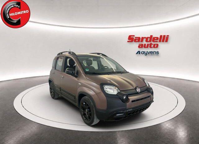 
								FIAT Panda 1.0 FireFly S&S Hybrid Trussardi full									