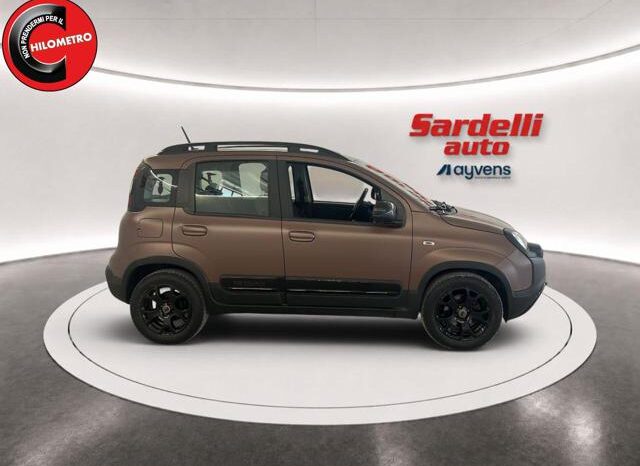 
								FIAT Panda 1.0 FireFly S&S Hybrid Trussardi full									