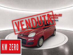 FIAT Pandina 1.0 FireFly 65 CV Hybrid Icon